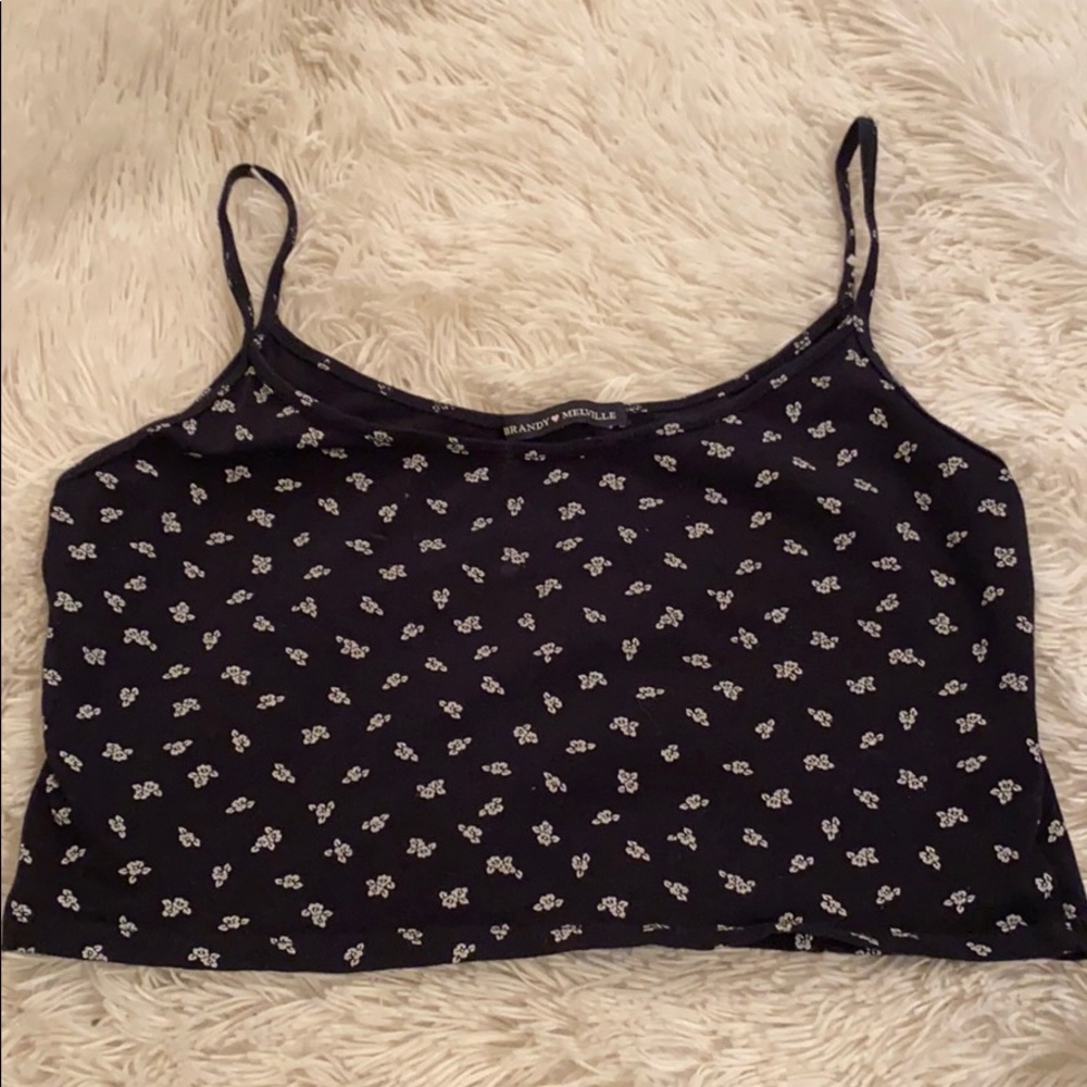 Brandy Melville Crop Top